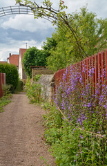 Fototapete bei efototapeten.de bestellen   