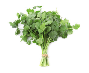 Bunch of fresh green organic cilantro isolated on white, top view