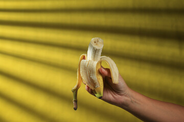 Mano de Mujer caucásica sosteniendo una Banana pelada a medias sobre fondo amarillo. Guineo Amarillo sobre mano de Mujer. Iluminación de ventana sobre mano de mujer que carga una banana.