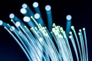Bundle of optical fibers with lights in the ends. Blue background.