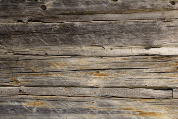 Fototapeta premium old wood background, old gray boards