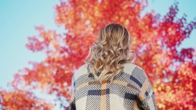 Slow motion: back view blonde woman enjoying red foliage on sunny cold day 4K