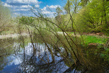 lake in the South of Germany