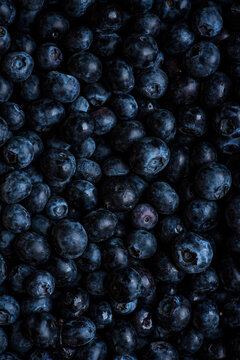 Pattern of Blueberries creating a background image