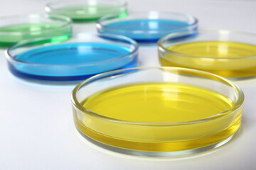 Petri dishes with colorful liquids on white background, closeup