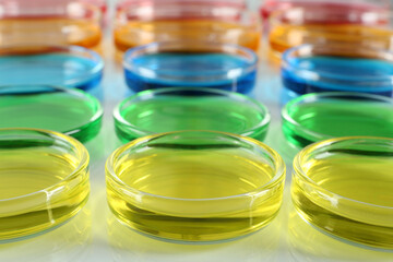Petri dishes with colorful liquids on white table, closeup