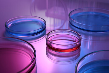 Petri dishes with samples on table, toned in pink and blue