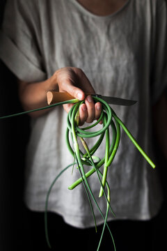 A person holding fresh garlic scapes