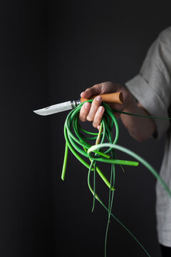 A person holding fresh garlic scapes