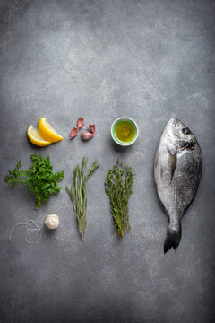 Knolling composition on gray background - fish sea bream, herns, garlic, lemon