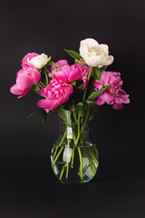 Bouquet of pink and white peonies in a glass vase on a black background. Floral card design