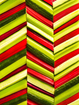 Veggie chevrons. Green and red veggies laid out in a chevron or herringbone pattern filling the frame.