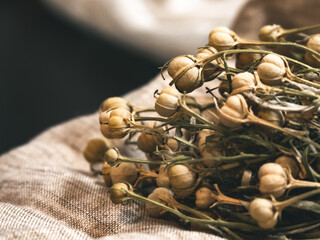 Peganum harmala herb