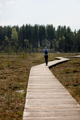 man in a light shirt walking on a wooden path in nature, national park or forest, swamp and wooden roads for hiking and walking, recreation and sports in nature, enjoy the peace and beauty, treveler