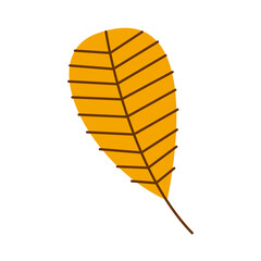 yellow leaf autumn season