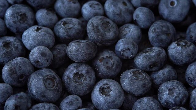 Fresh ripe juicy blue blueberry with water drops rotate in circle. Natural and healthy berry concept. Macro food background. Harvest, crop.