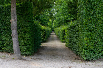path in the park