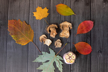 Fototapeta na wymiar Autumn background with dried mushrooms, garlic and pumpkin. Dry tree leaves. Natural wooden background. Flat lay, top view.