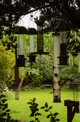 England UK. 2021.  Empty bird feeders hanging from a tree with a backdrop of a garden on an overcast day in the UK.