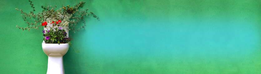Horizontal green banner with flowers. Flowers grow from a white toilet bowl