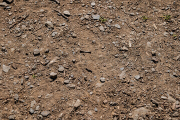stone and soil in the ground