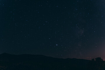 Obraz premium Dessert Ice Cream in Bowl