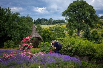 A man with a camera, photographing flowers in a garden. 