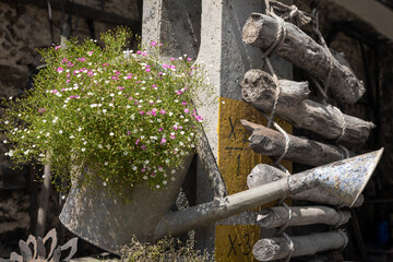 A vintage watering can, filled with growing flowers, hanging on a wall of a wooden cottage. 