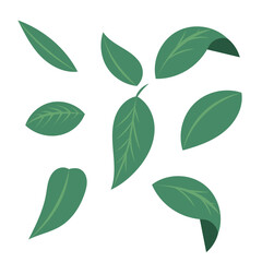 Various shapes of green leaves vector symbols , Illustration Vector EPS 10