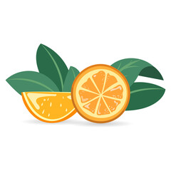 Orange that is cut in half and has the leaves of an orange tree behind it , vector symbols , Illustration Vector EPS 10