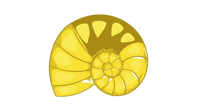 Shell icon animation cartoon best object isolated on white background