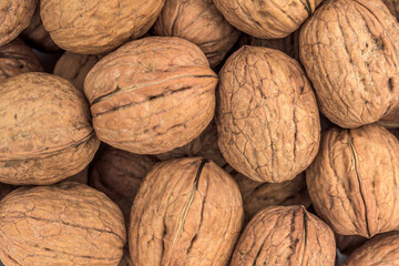 close up of walnuts