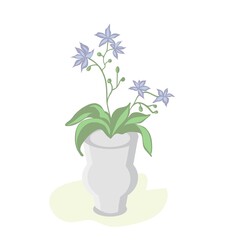 Orchid Phalaenopsis houseplant, potted flower vector illustration