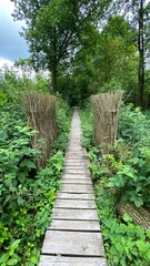 Wooden footbridge in the park near Wlodawa