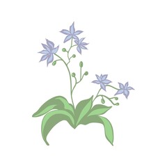 Botanical drawing. Meadow greens minimal logo, abstract leaf and blooming flowers sketch element,.