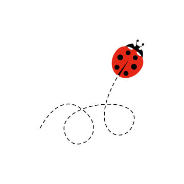 Cartoon ladybird icon. Ladybug flying on dotted route. Vector isolated on white background.