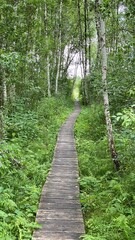 Obraz premium Wooden footbridge in the park near Wlodawa