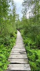 Fototapeta na wymiar Wooden footbridge in the park near Wlodawa