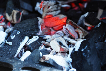 smoldering logs in the fire . side view