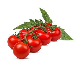 Tomatoes on a branch with leaves isolated on white background with clipping path
