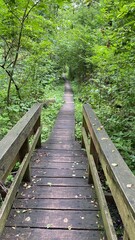Wooden footbridge in the park near Wlodawa
