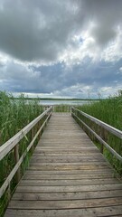 Obraz premium Wooden footbridge in the park near Wlodawa