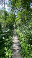 Wooden footbridge in the park near Wlodawa