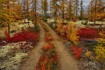 Fototapeta na wymiar Russia. The Far East. Magadan region. A dirt road on the mountain passes in the upper reaches of the Kolyma River, surrounded by the autumn taiga of permafrost.