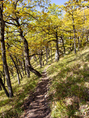 Panoramic views from mountain routes on an autumn sunny day, walking and communicating with nature.