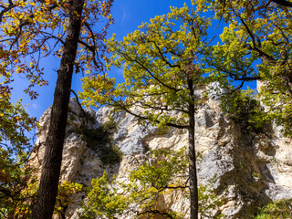 Panoramic views from mountain routes on an autumn sunny day, walking and communicating with nature.
