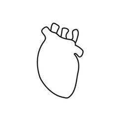 Doodle of the heart is the human cardiovascular system. Medicine, the concept of human health.