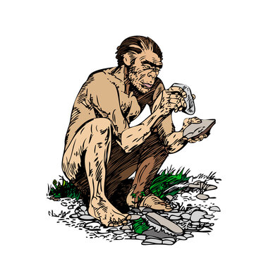 Neanderthal man (Homo sapiens neanderthalensis).