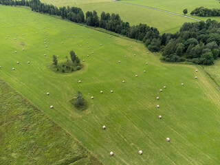 Large area of green agriculture fields with bushes, trees and hay bales. Place for text, copy...