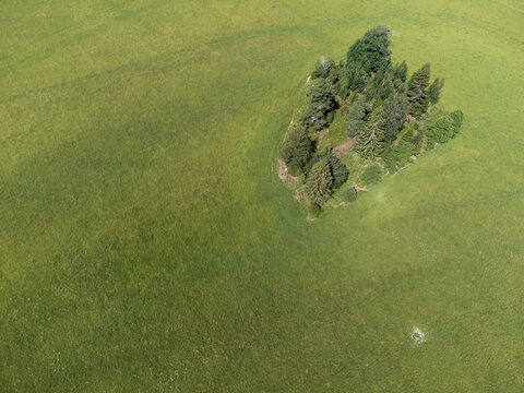 Large area of green agriculture fields, grove of trees and bushes. Aerial, drone photography taken from above in Sweden.  Place for text, copy space. 
